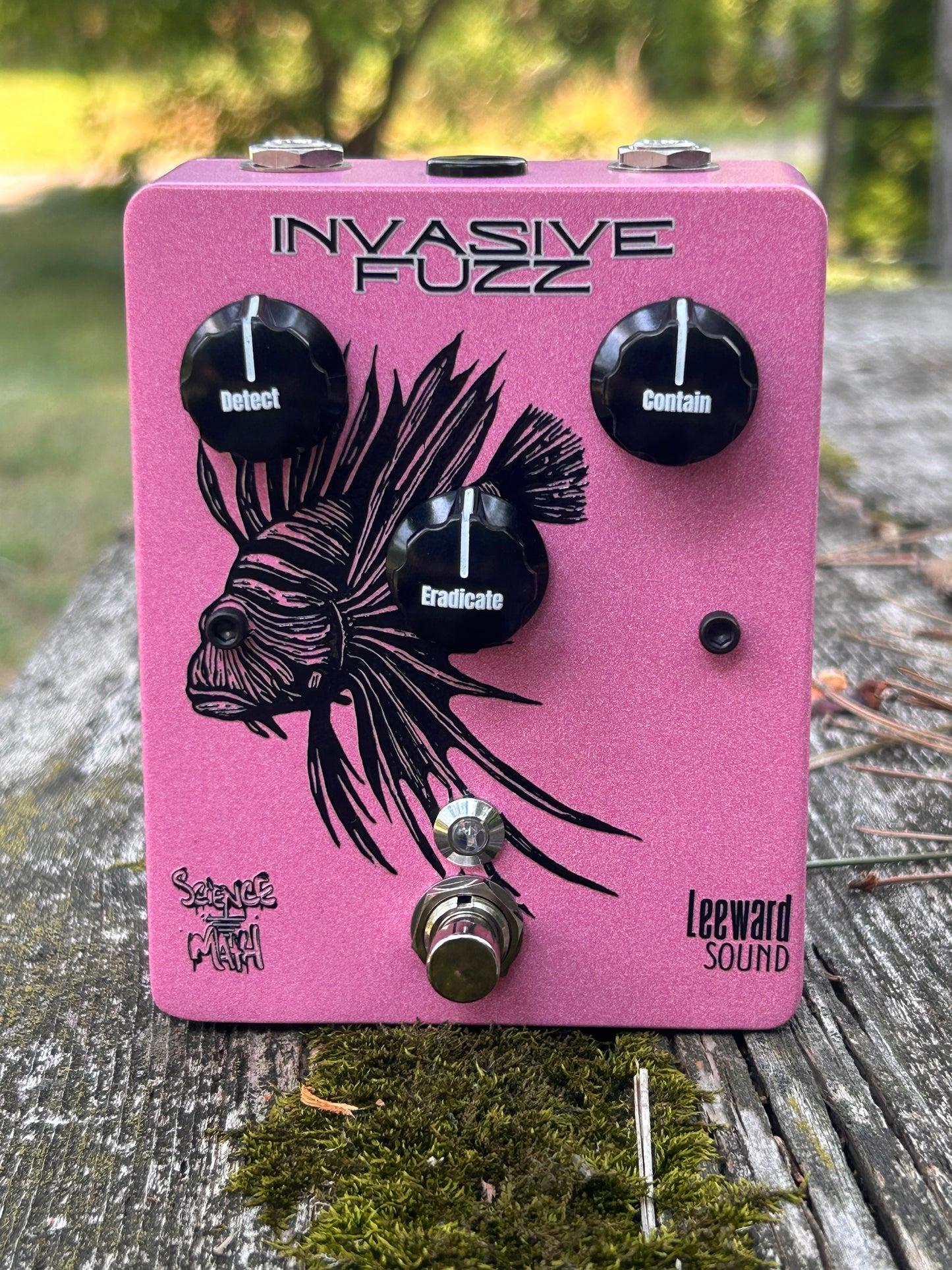 Invasive Fuzz
